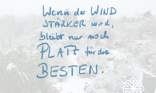 Wenn der Wind stärker wird…
